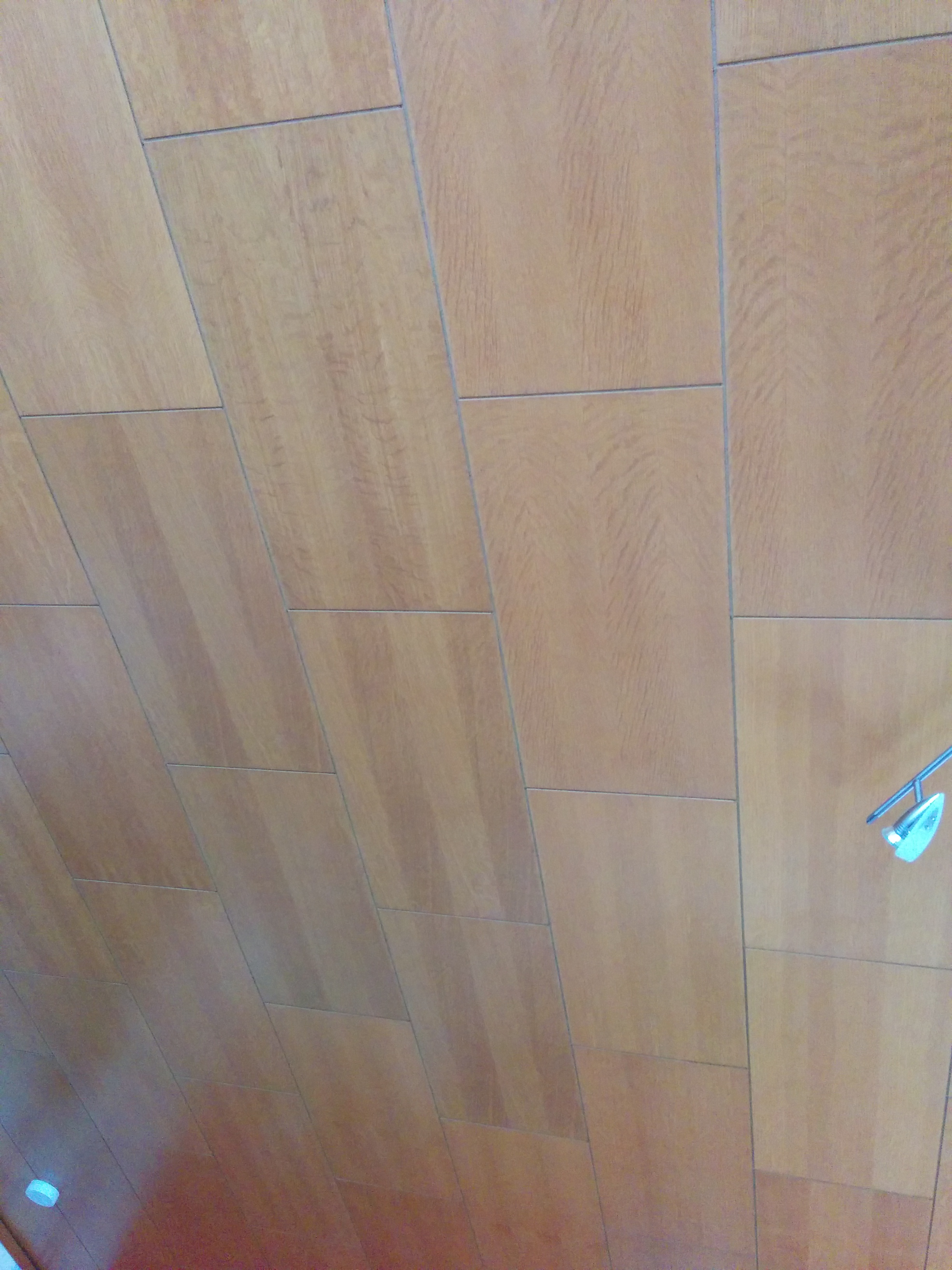 Deckenpaneele ersetzen (Holz, heimwerken, Handwerker)