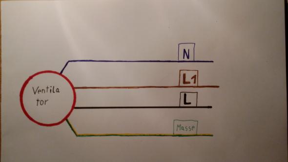 Deckenventilator Anschluss Problem (Strom, Elektrotechnik)