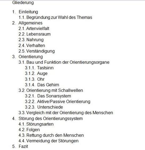Delfine Und Deren Orientierung Fragestellung Fur Referat Schule Tiere