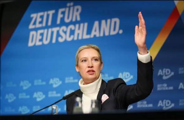 Bild zum Beitrag