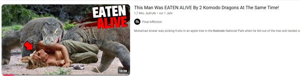 Bild zum Beitrag