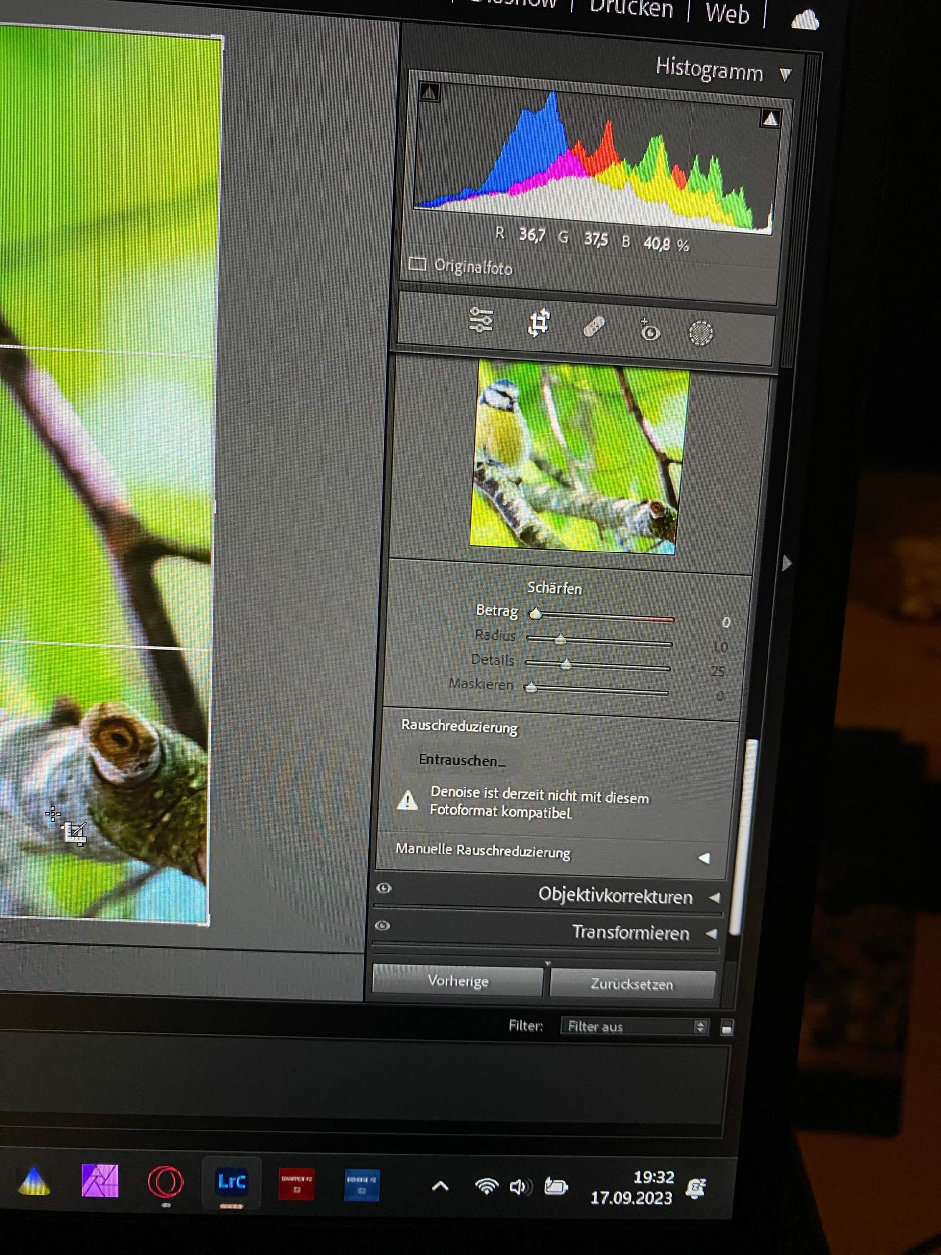 Denoise nicht mit Fotoformat kompatibel (LR)? (Foto, Fotografie ...