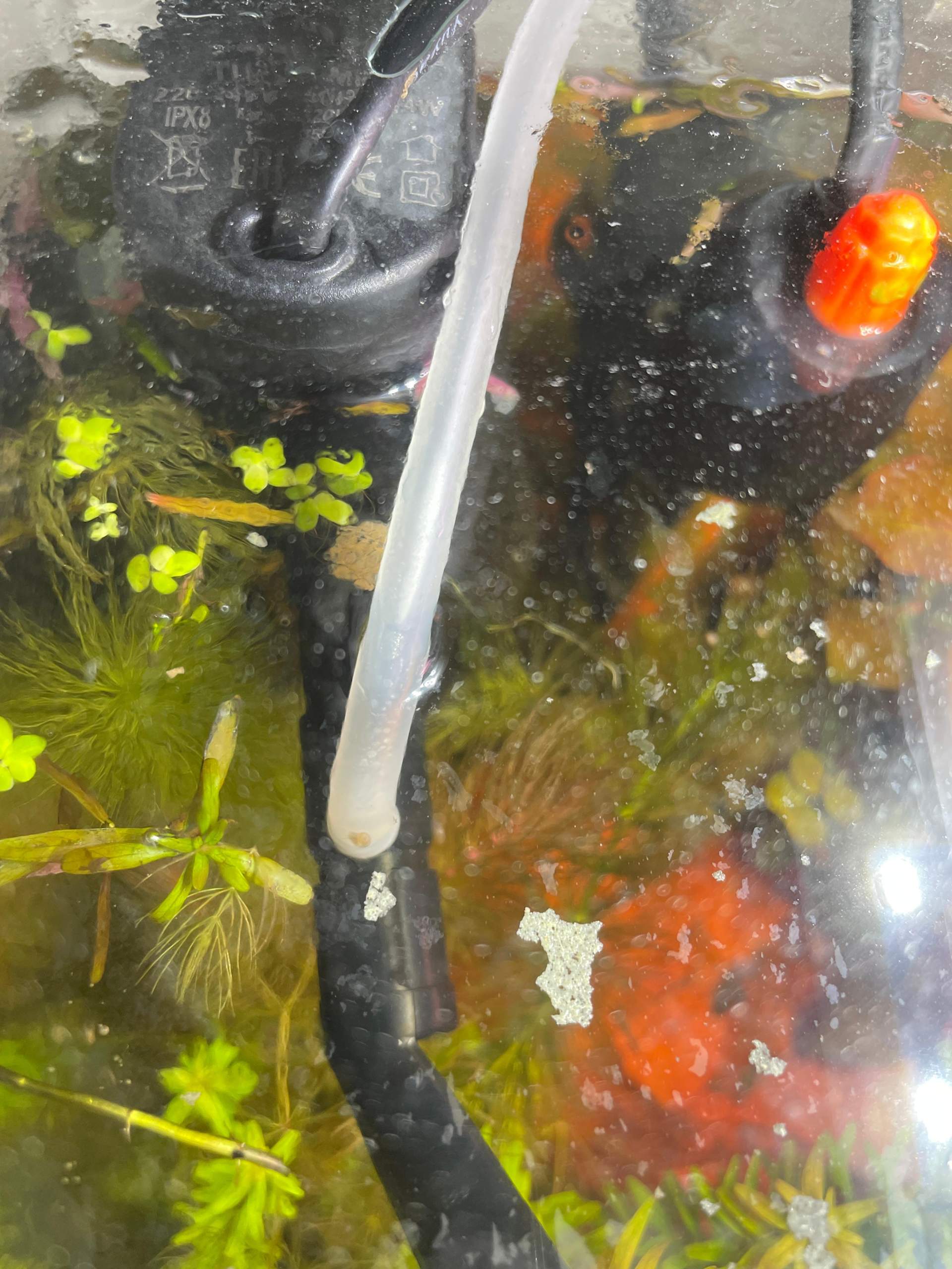 Der integrierte Luftschlauch des AquaelFilter zieht Wasser an wie