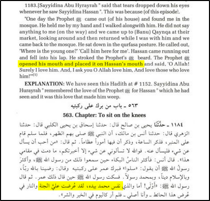 Der Prophet des Islams, seine Zunge und Hassan? Frage zu einer Quelle an arabische Muttersprachler?