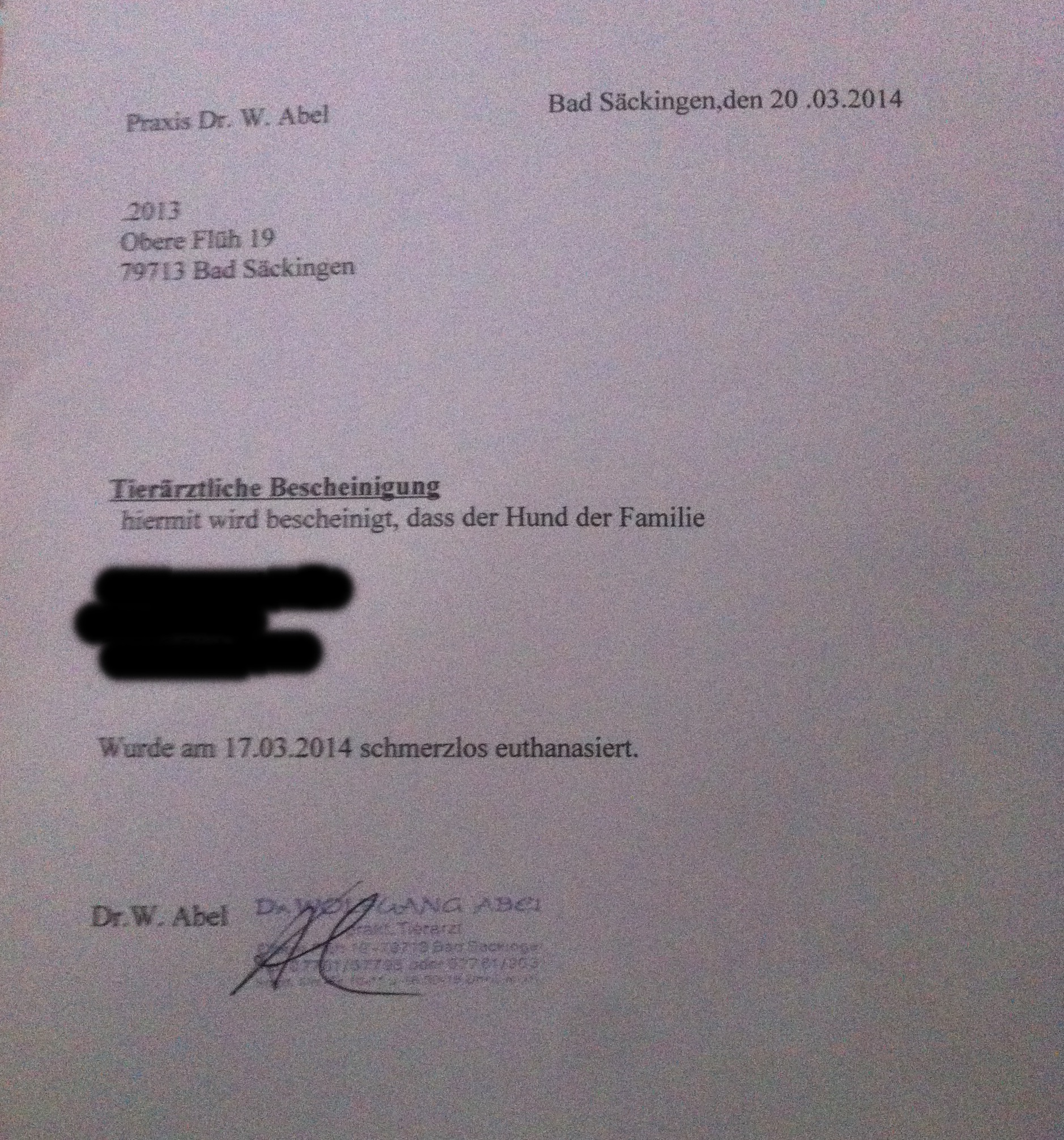 DER TIERARZT HAT OHNE UNSERE EINVERSTANDEN MEIN HUND EINGESCHLÄFERT