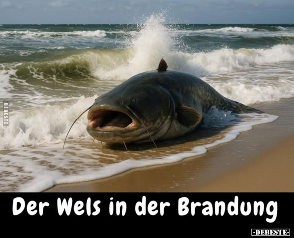 Bild zum Beitrag