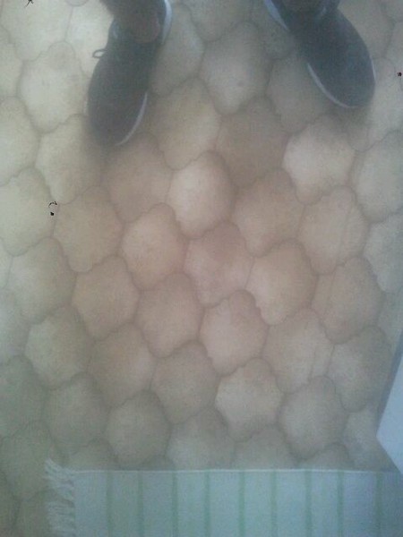 Vinyl evolution Vinyl evolution