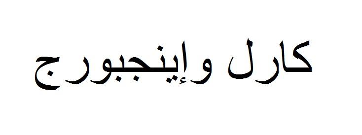 Deutsch - Arabisch - Übersetzung (Bitte dringend um Hilfe!) (Sprache