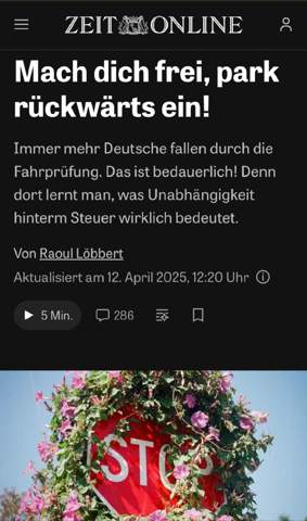 Bild zum Beitrag