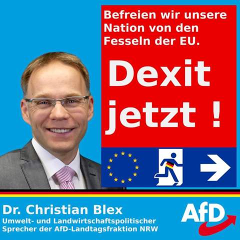 Dexit Plan AFD? (Recht, Politik, Deutschland)