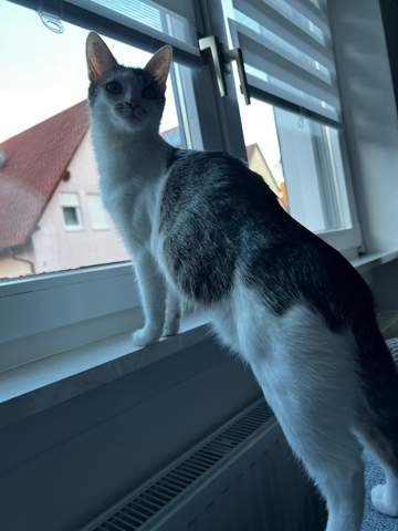 Bild zum Beitrag