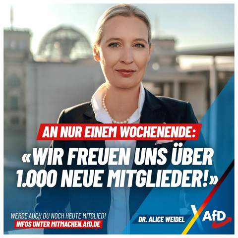 Bild zum Beitrag