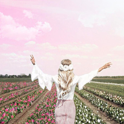 Die Blogger Bearbeiten Die Bilder Immer So Das Der Himmel Oder Die