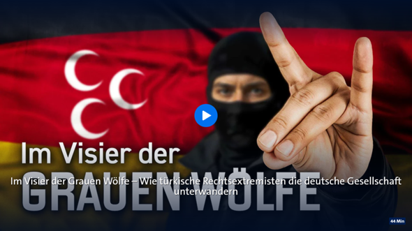 Bild zum Beitrag