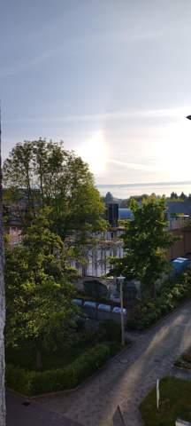 Bild zum Beitrag