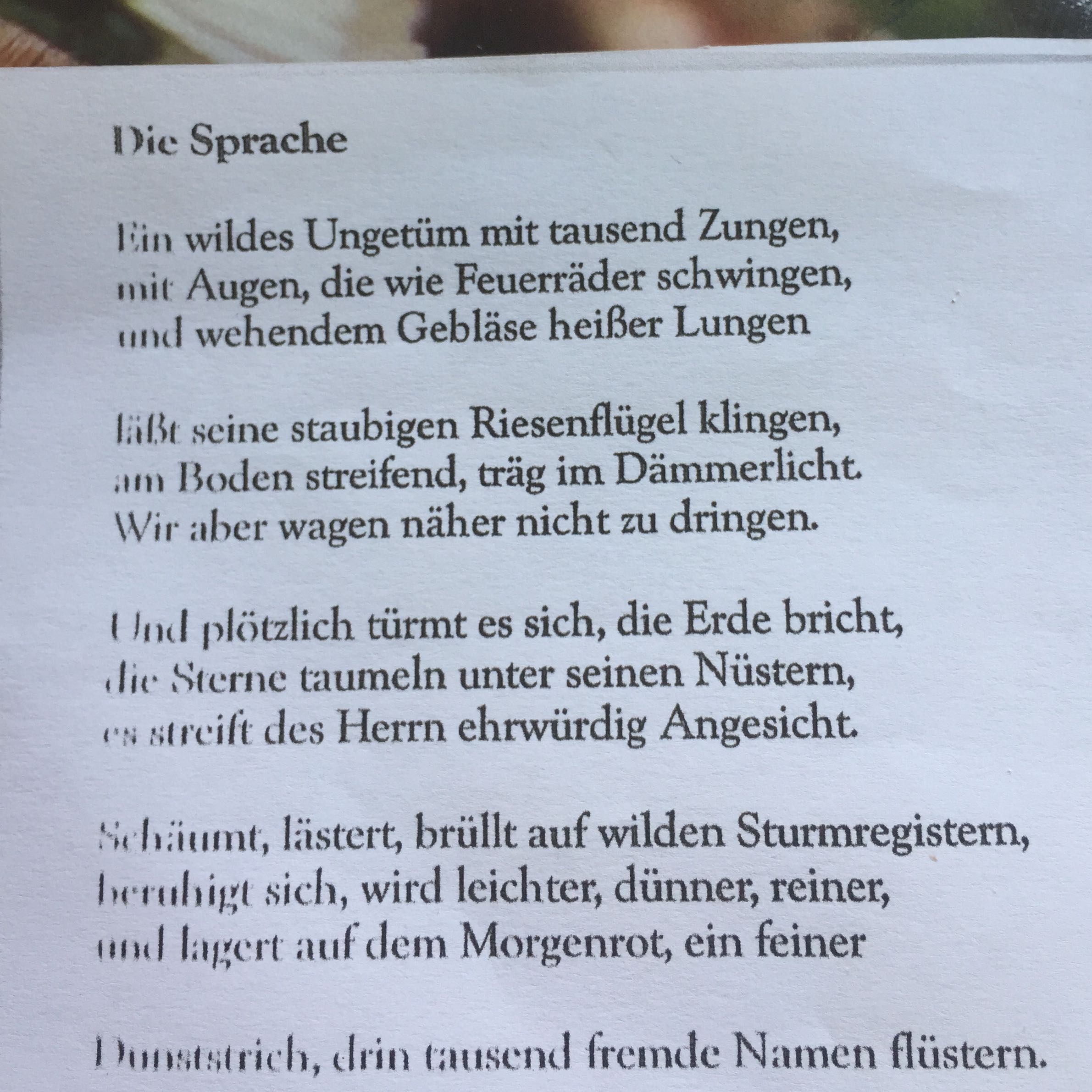 Gedicht Die Sprache (Gedicht)? (Deutsch, Lyrik, Interpretation)