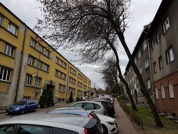 Bild zum Beitrag