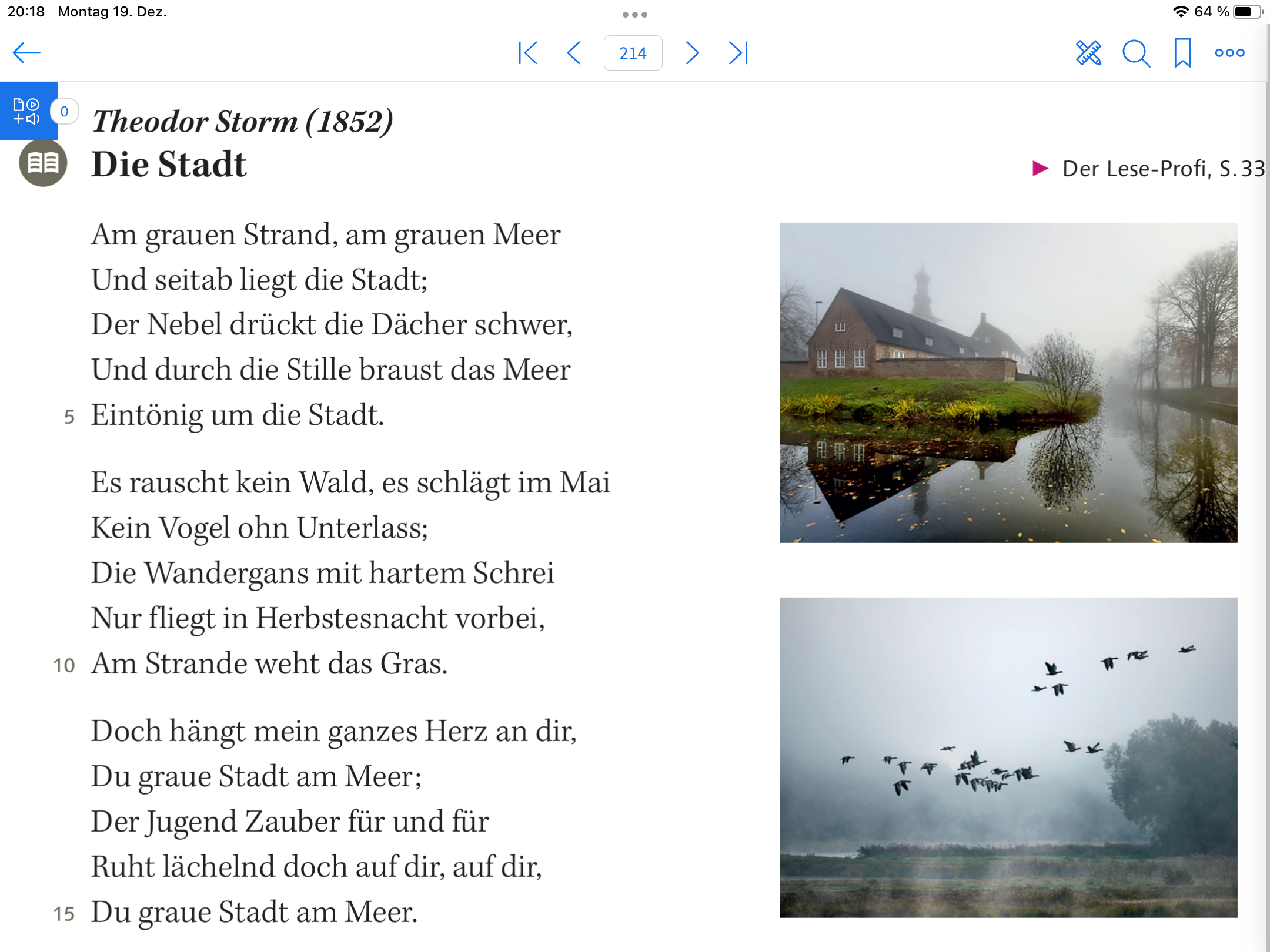 Die Stadt Lesepatitur? (Schule, Deutsch, Geschichte)