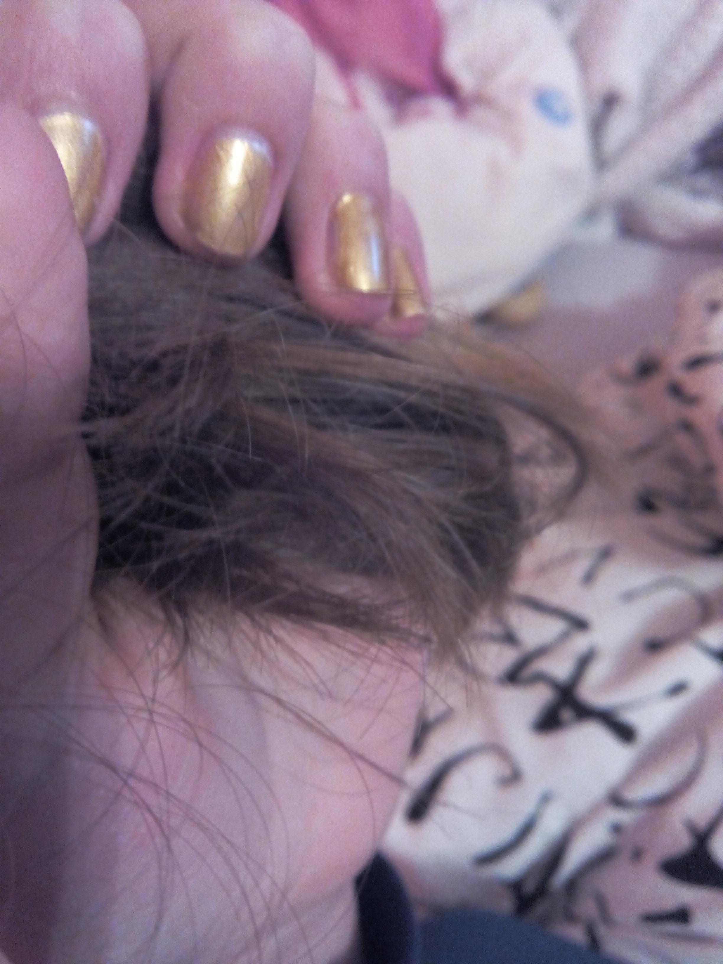 Directions Lagoon blue auf dünnen, braunen Haaren? (tönen ...