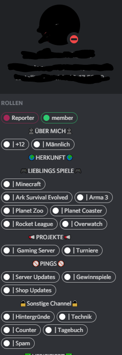 Discord Rollen Ordnung? (Computer, Discord Server)