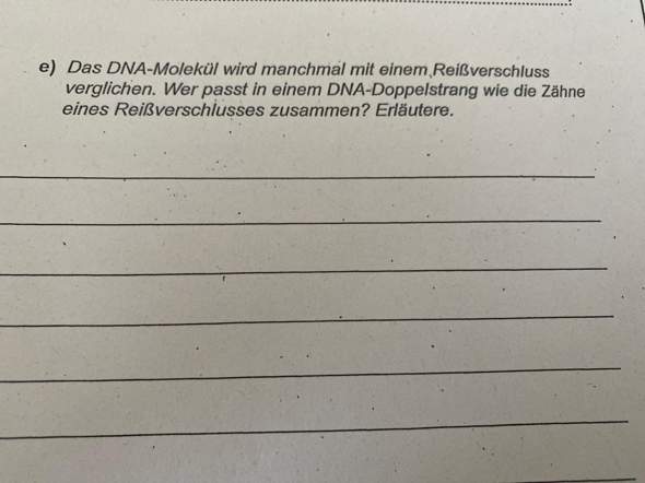 DNA BIOLOGIE?-?