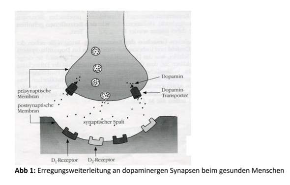 Dopaminergen Synapse?