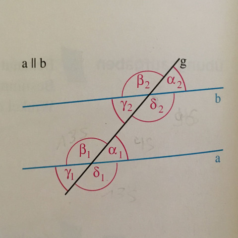 Bild zur Aufgabe 
Elemente der Mathematik Rheinland-Pfalz 7 Seite 228 Nr.8 - (Schule, Mathematik, Klasse 7)
