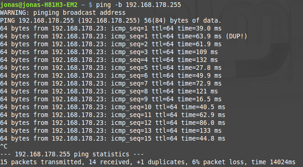 Ping 2 - (Computer, Informatik, Netzwerk)