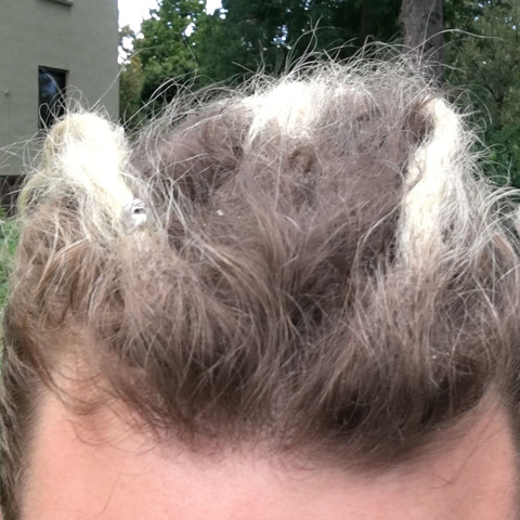 dreadpflege frankfurt am main