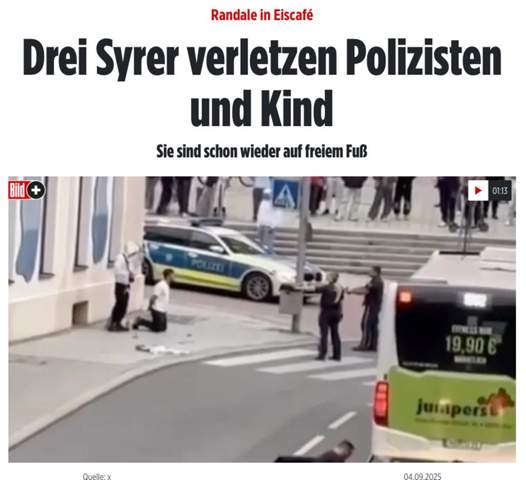Bild zum Beitrag