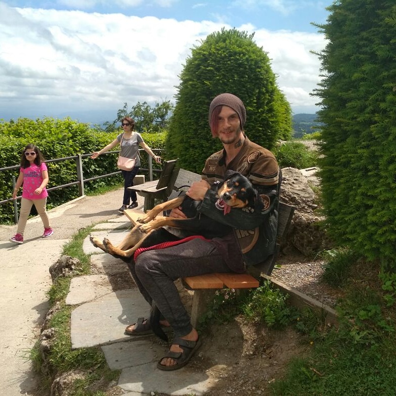Dringend! Hund abgeben aber wo? (Tierheim, Haustiere Hund)