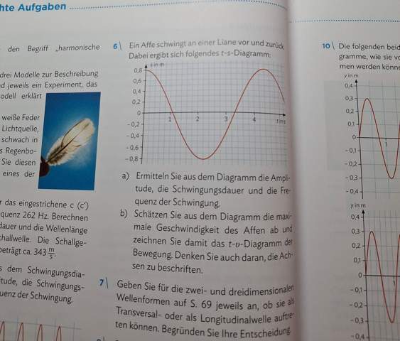Bild zum Beitrag