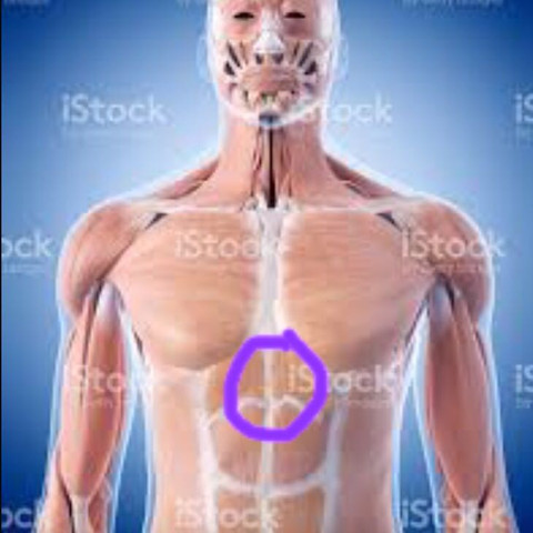 Druckender Krampfhafter Schmerz Zwischen Brust Und Bauch Schmerzen Symptome Diagnose Druckender Krampfhafter Schmerz Zwischen Brust Und Bauch Schmerzen Symptome Diagnose