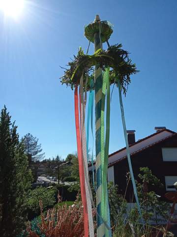 Bild zum Beitrag