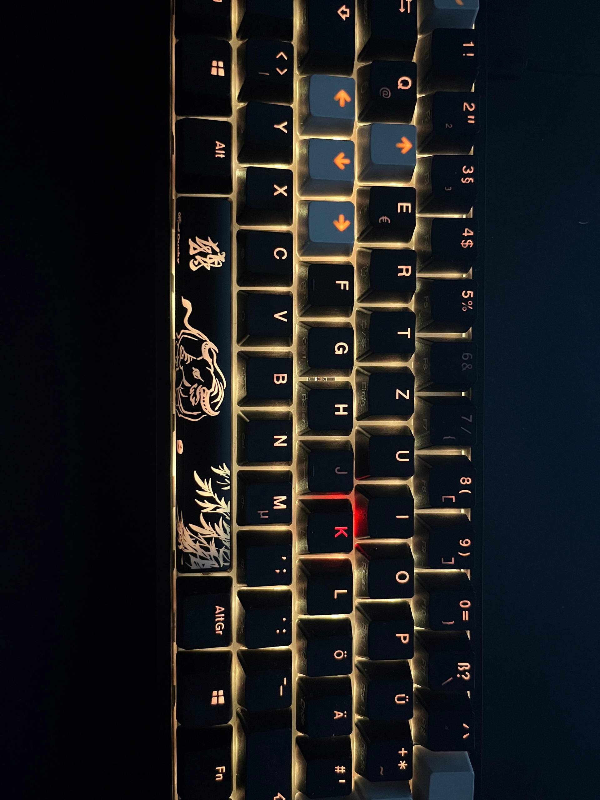 ducky one 2 mini rgb probleme? Technik, Gaming Tastatur)