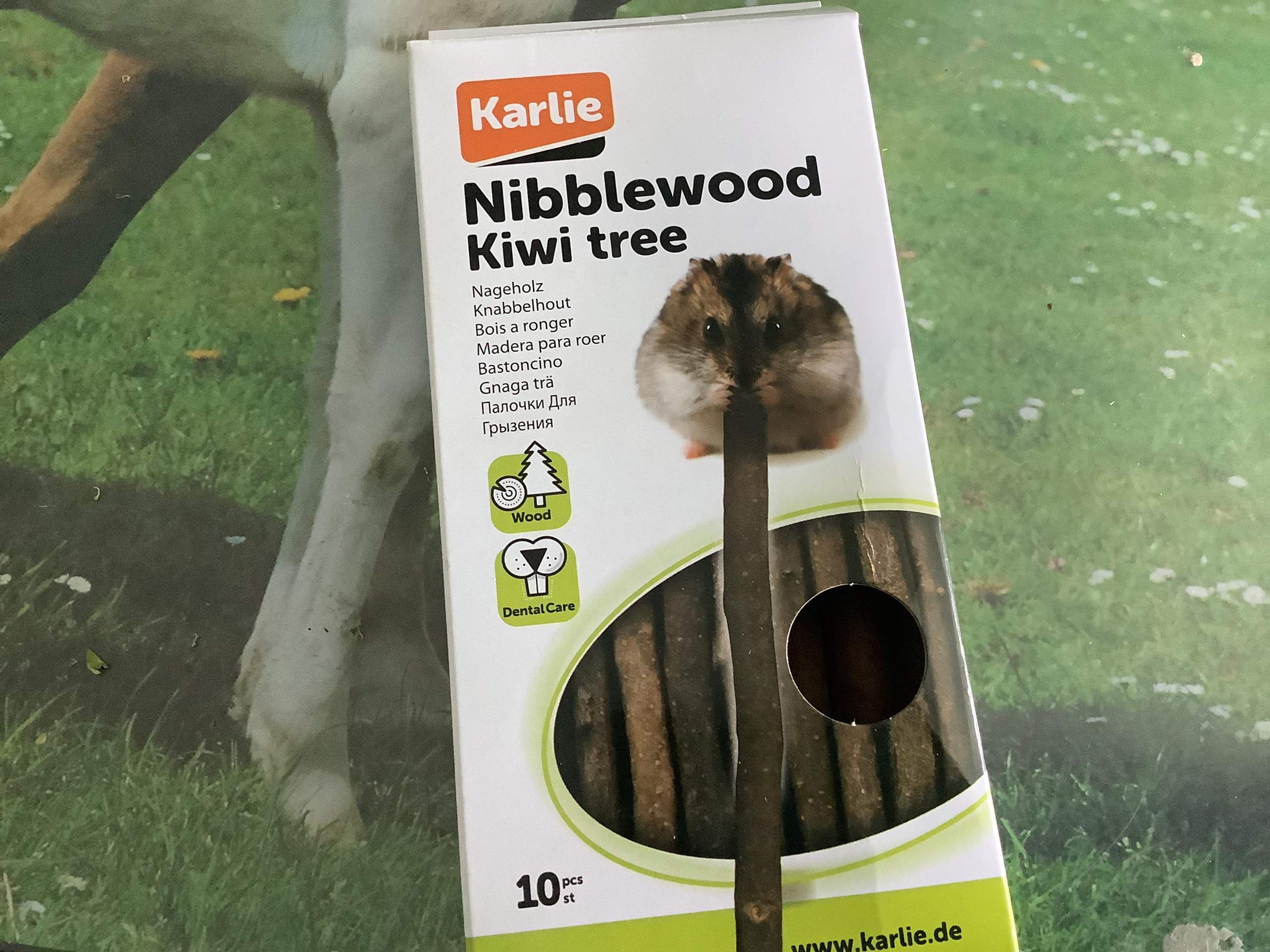 Dürfen Kaninchen das fressen? (Futter, Haltung, artgerechte Haltung)