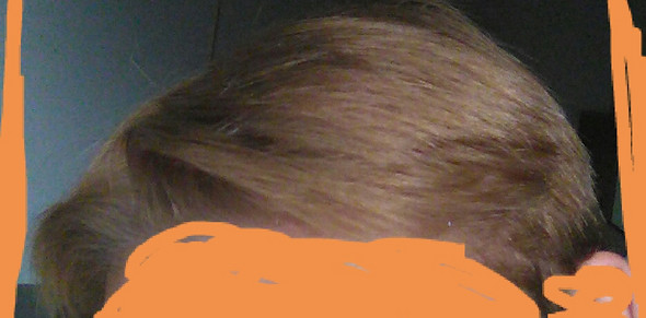 haare farben rotstich