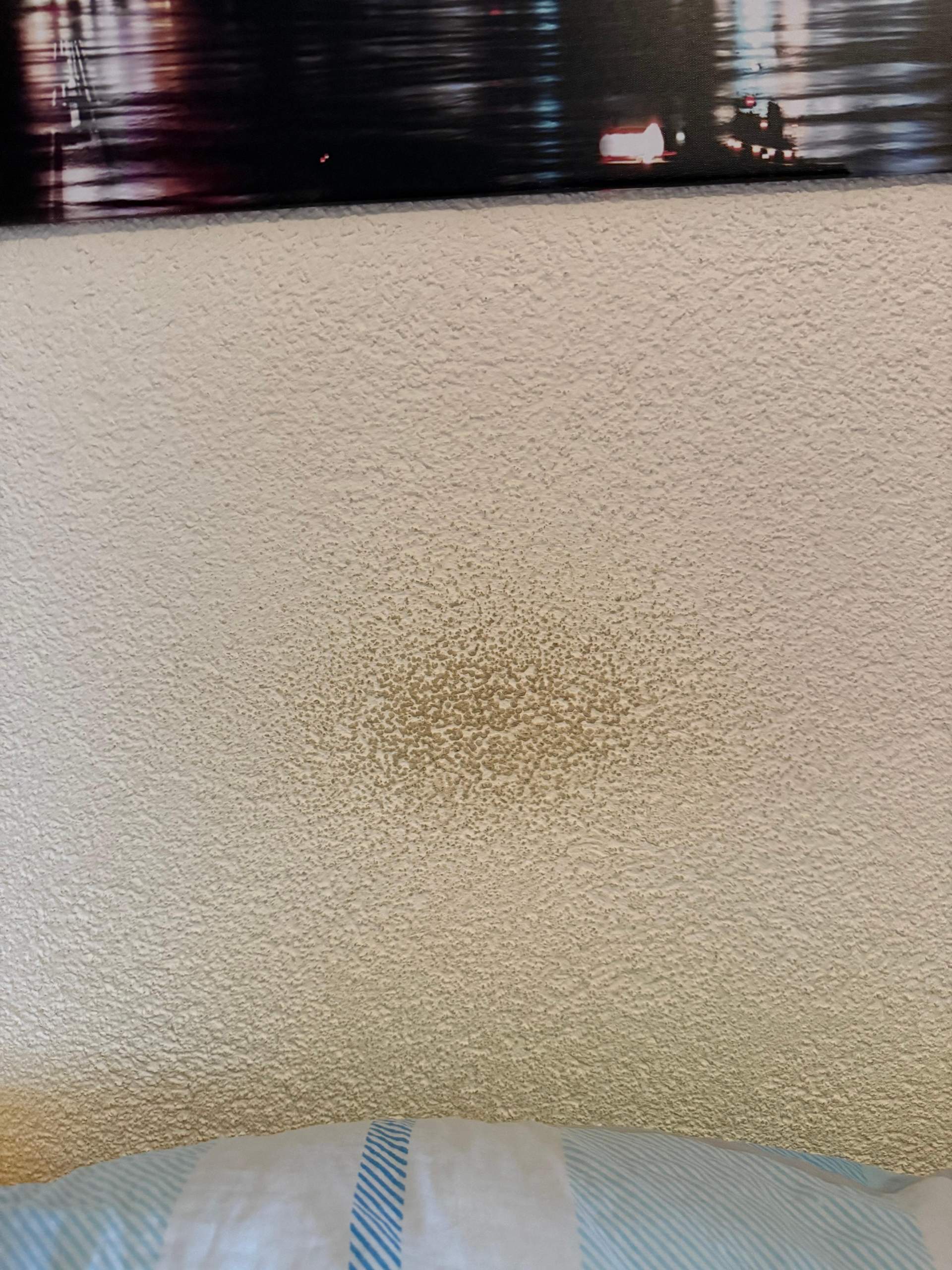 Schwarze Flecken An Der Wand