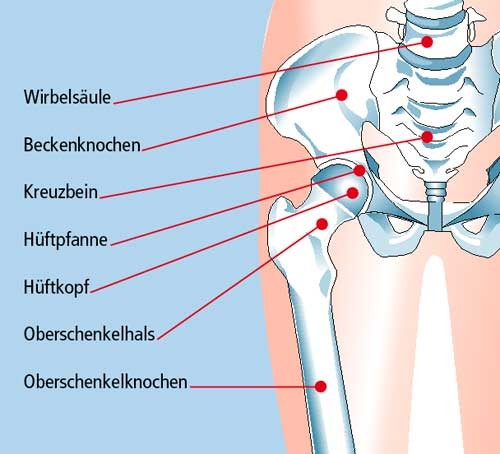 Durch Joggen Schmerzen Am Huftgelenk Durch Joggen Schmerzen Am Huftgelenk