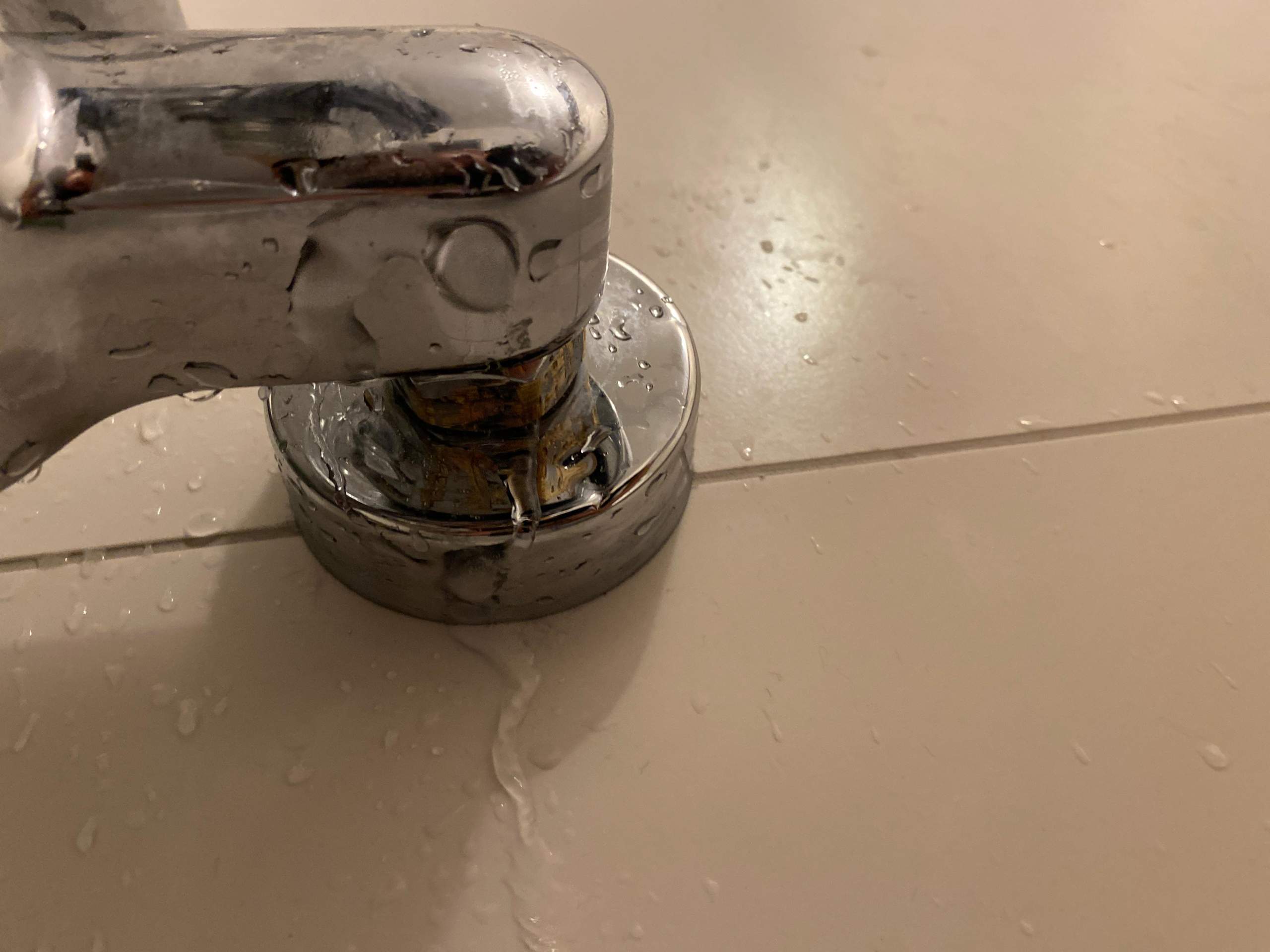 Duscharmatur undicht? (Technik, Sanitär, Dusche)