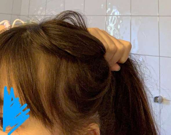 Dutt oder normalen hohen Schwanz?