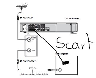 Aquarium dvd für fernseher kostenlos Aquarium dvd für fernseher kostenlos
