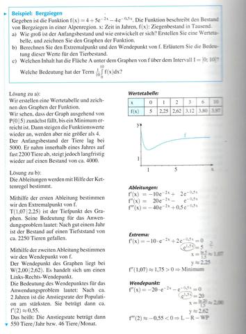 Beispiel-Matheaufgabe "Bergziegen" - (Schule, Mathematik, Abitur)