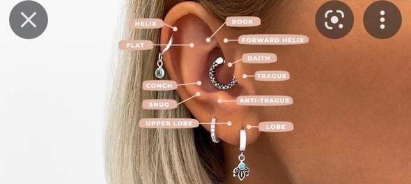 Ear piercings?