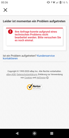 eBay verkaufen nicht möglich technische Fehler? (Computer)