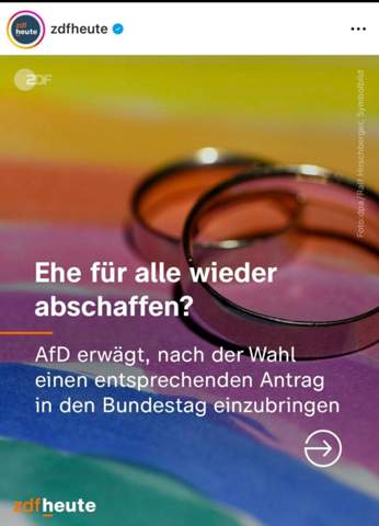 Bild zum Beitrag