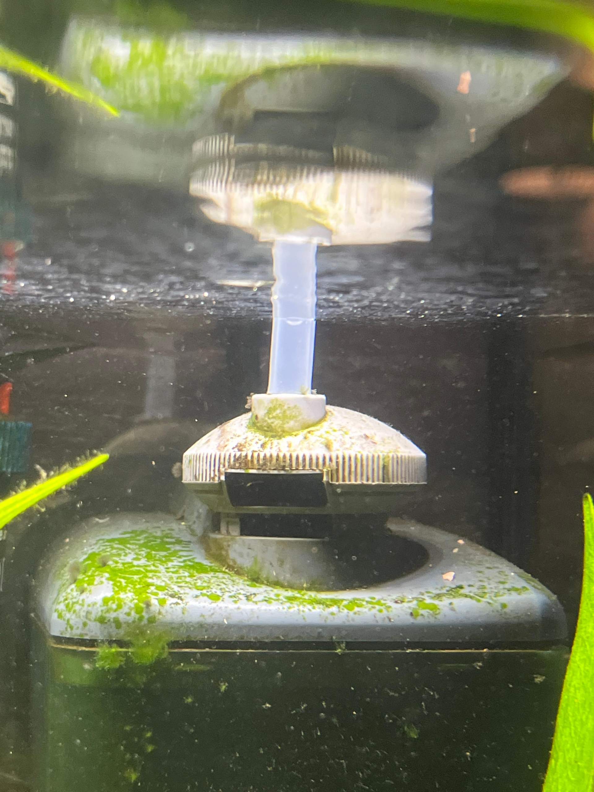 Eheim Aquarium Filter blubbert nicht mehr? (Pumpe)