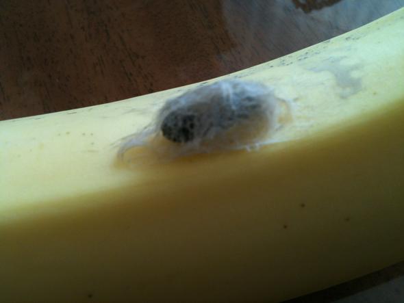 Bild 2 - (Eier, Spinnen, Banane)