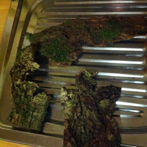 Ich wollte fragen ob es möglich wäre französisch Ich wollte fragen ob es möglich wäre französisch