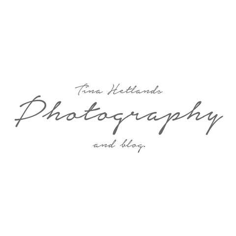 Eigenes Schrift Layout Erstellen Aber Wie Website Design Schriftart
